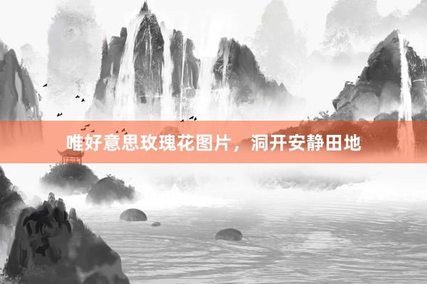 唯好意思玫瑰花图片，洞开安静田地
