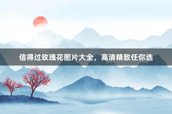 信得过玫瑰花图片大全，高清精致任你选