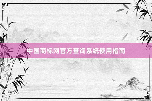 中国商标网官方查询系统使用指南